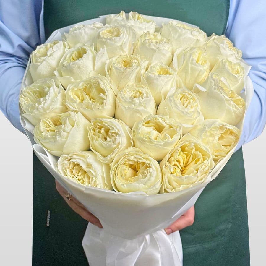 Букет из Пионовидных Роз Кения 25 шт «Панна Котта»