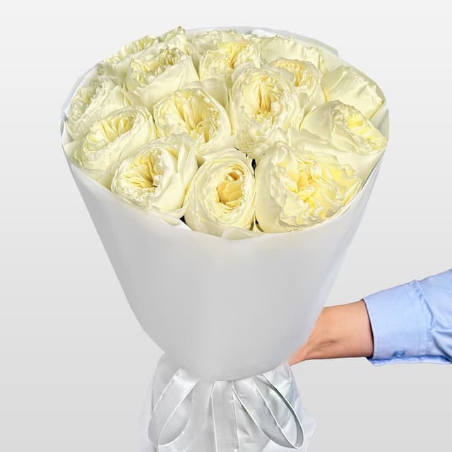 Букет из Пионовидных Роз Кения 15 шт «Утренняя Звезда»