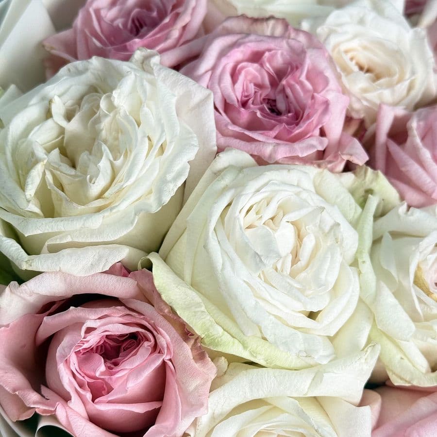 Букет из Пионовидных Роз 15 шт «Счастье вдвоем»