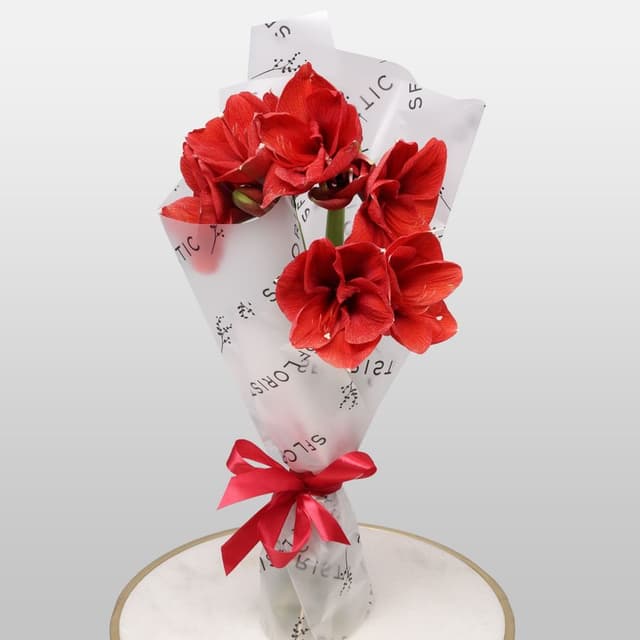 Букет из Амариллиса 3 шт «Зимняя Звезда»