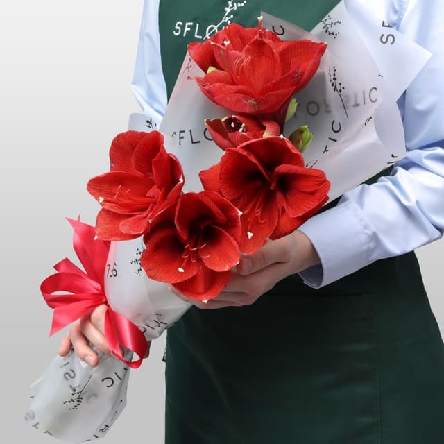 Букет из Амариллиса 3 шт «Зимняя Звезда»