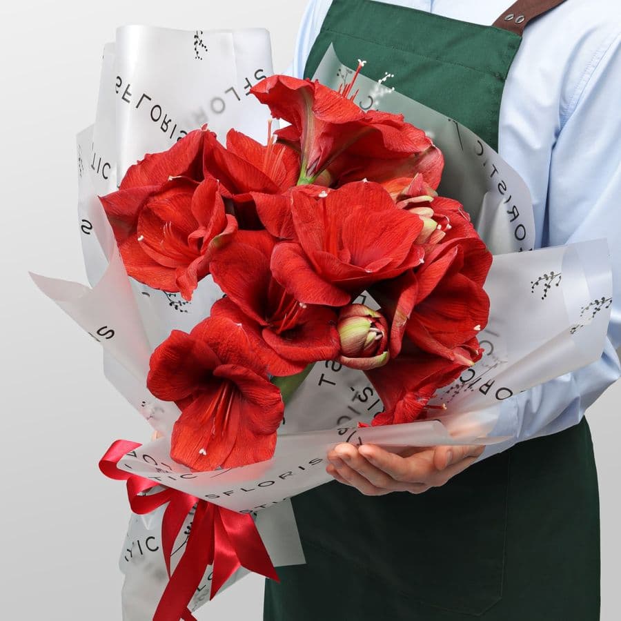 Букет из Амариллиса 5 шт «Огонек на Снегу»