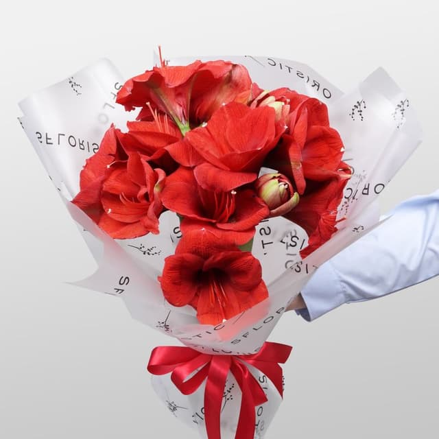 Букет из Амариллиса 5 шт «Огонек на Снегу»