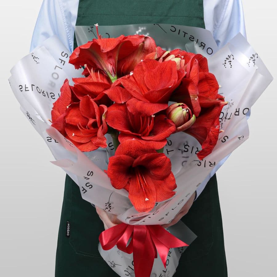 Букет из Амариллиса 5 шт «Огонек на Снегу»