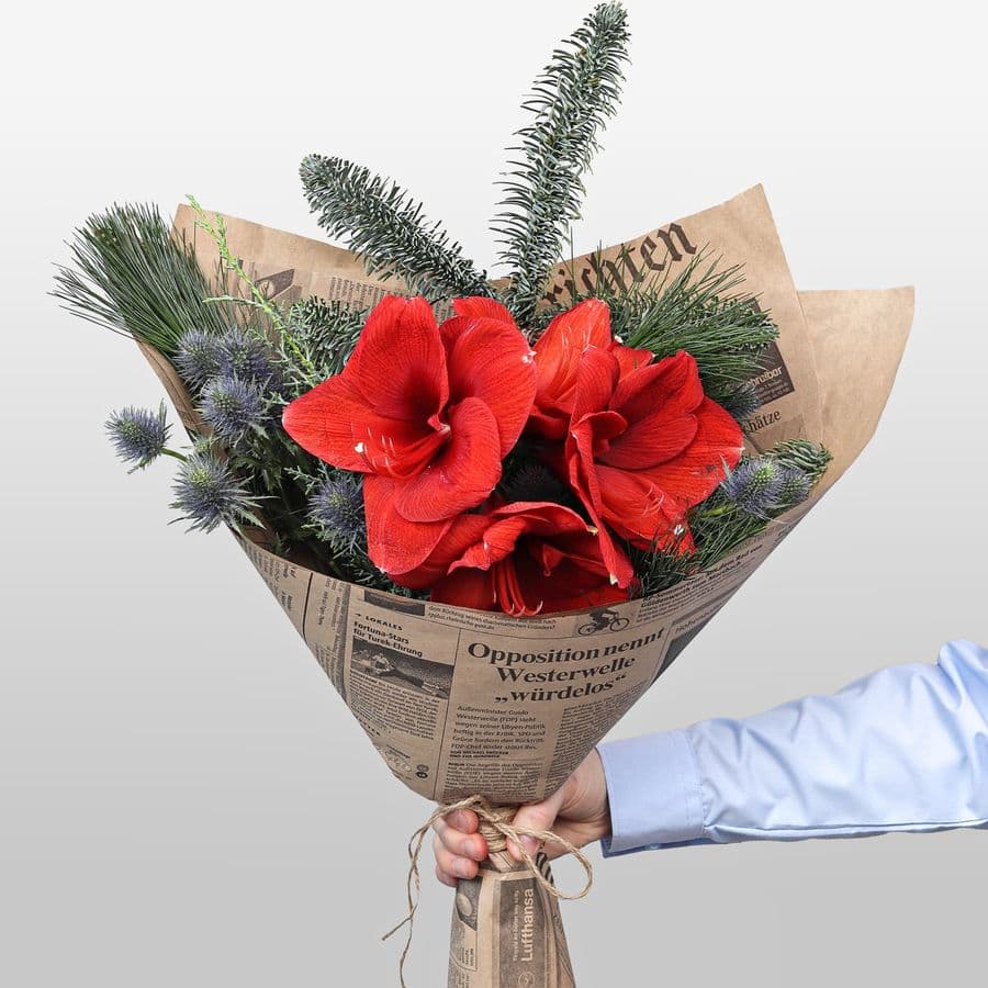 Новогодний букет из Амариллиса и Эрингиума «Рождественский Свет»