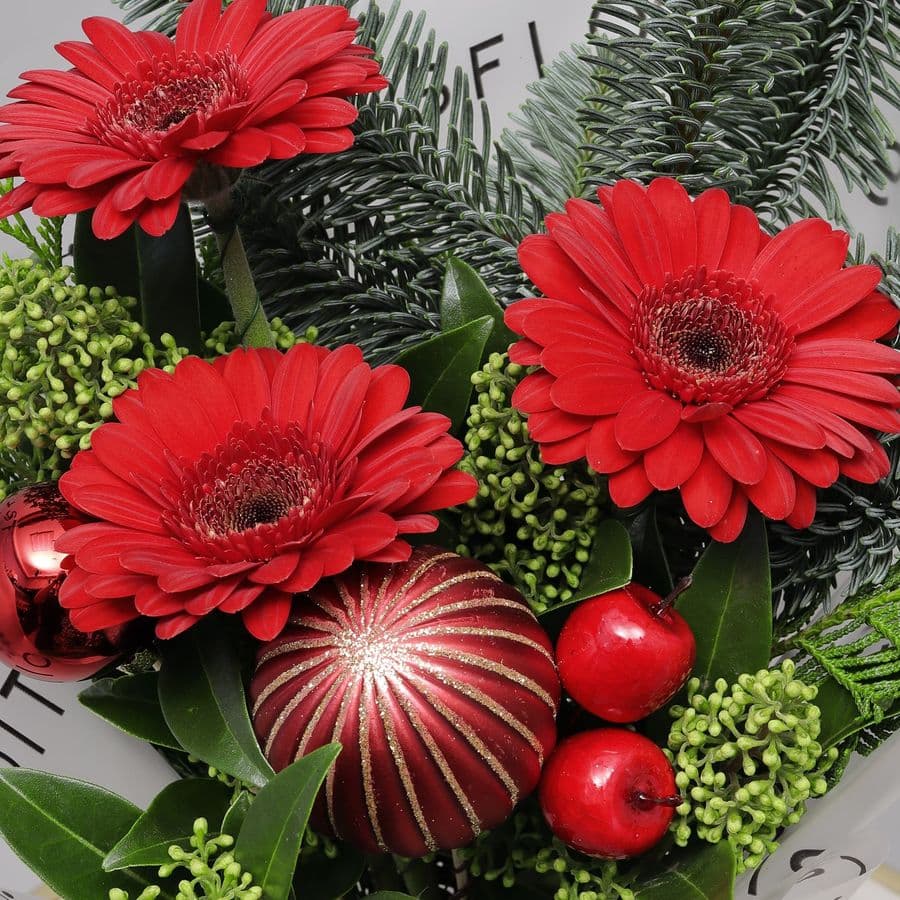 Новогодний букет из Нобилиса, Скиммии и Гермини «Имбирный Пряник»