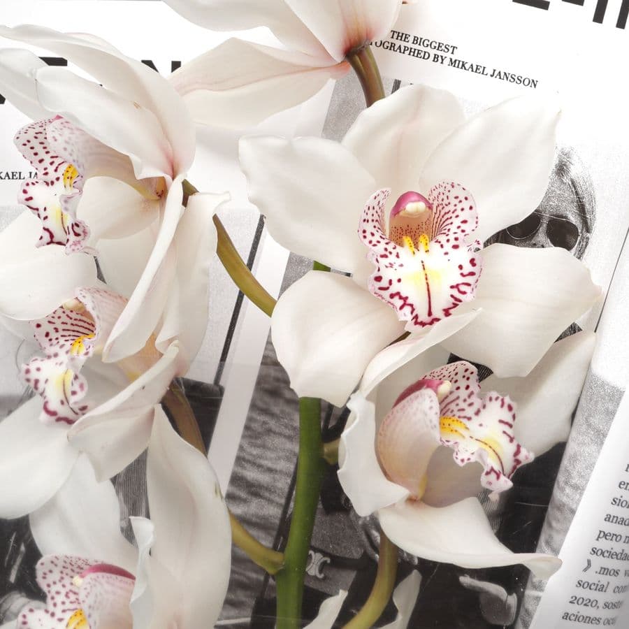 Букет из ветки Белой Орхидеи «Чистый Лист»