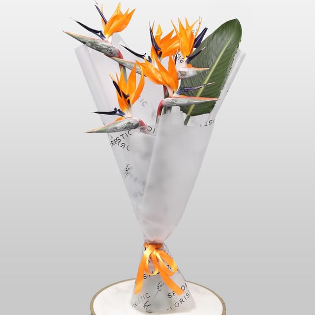 Букет из Стрелиции 5 шт «Перо Жар-Птицы»