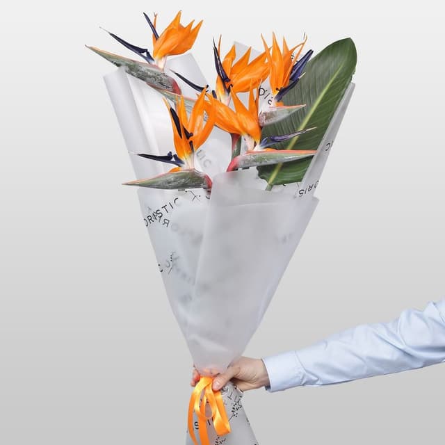 Букет из Стрелиции 5 шт «Перо Жар-Птицы»