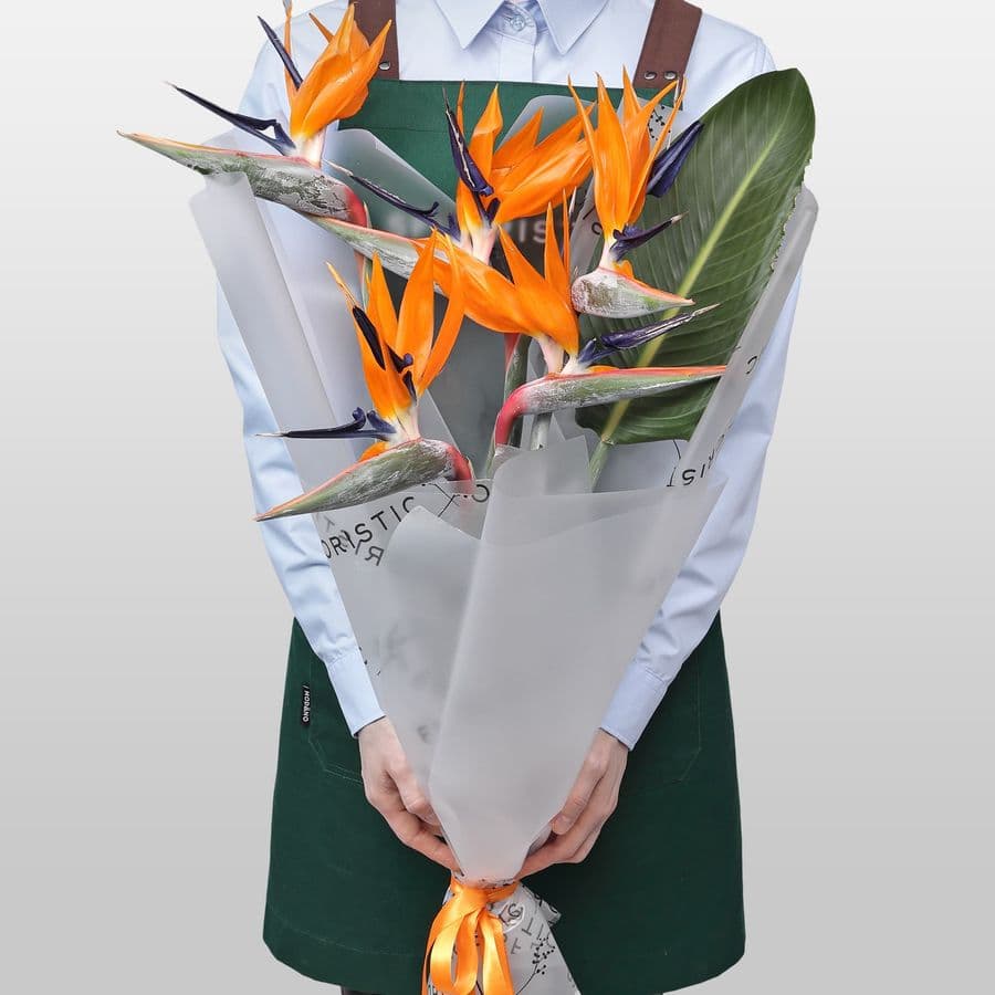 Букет из Стрелиции 5 шт «Перо Жар-Птицы»