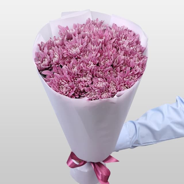 Букет из Сиреневых Кустовых Хризантем 15 шт «Аристократка»