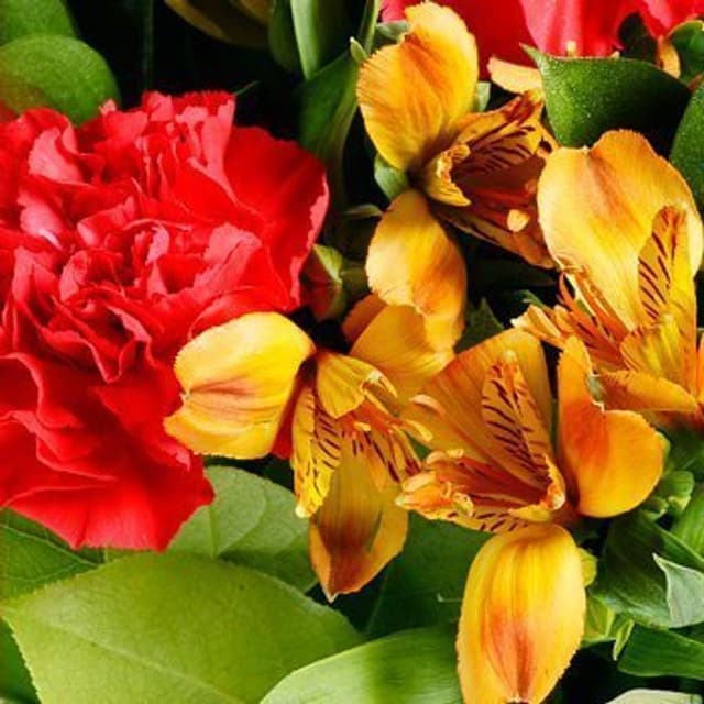 Букет из Альстромерии и Гвоздики «Золото осени»