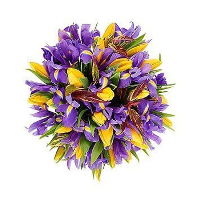 Букет из Тюльпанов и Ирисов «Закат и луна»