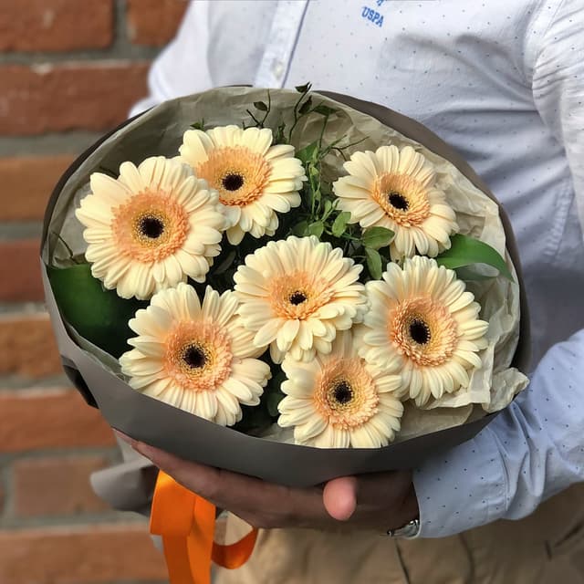 Букет из кремовых гермини "Сливочный"
