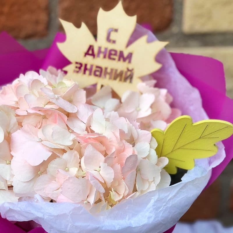 Букет из розовой гортензии "Смущение"
