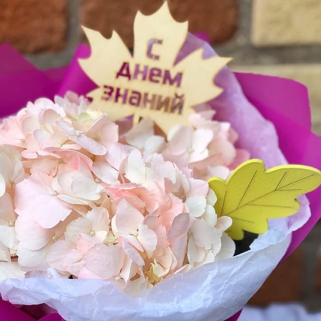 Букет из розовой гортензии "Смущение"