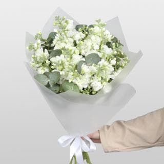 Букет Маттиолы «Лунная дымка»