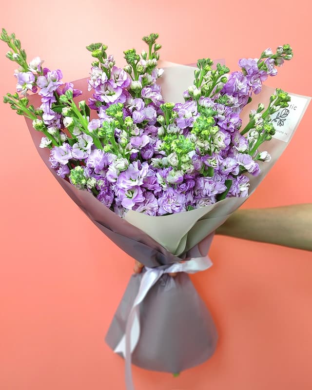 Букет сиреневая Маттиола