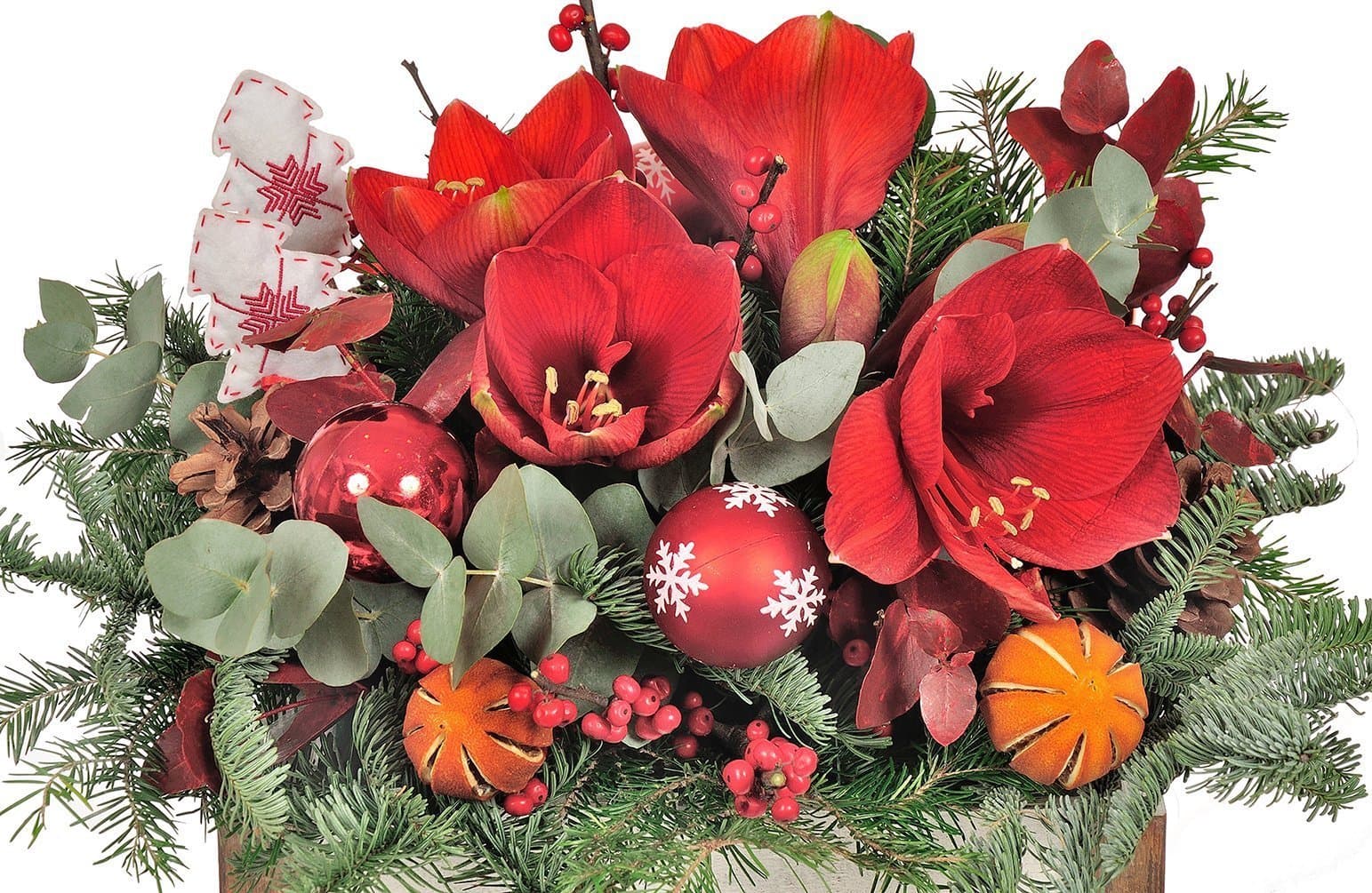 Праздничный амариллис