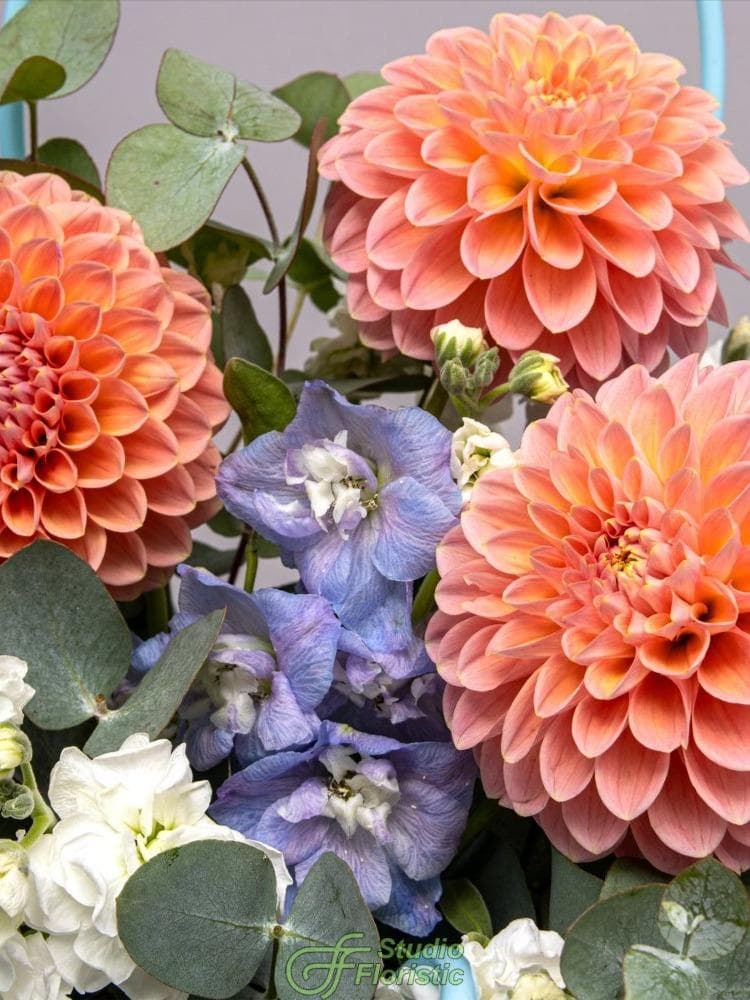 Композиция из Георгин, Маттиолы и Дельфиниума в сумочке «Лазурный Закат»