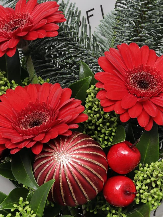 Новогодний букет из Нобилиса, Скиммии и Гермини «Имбирный Пряник» Новогодний букет из Нобилиса, Скиммии и Гермини «Имбирный Пряник»