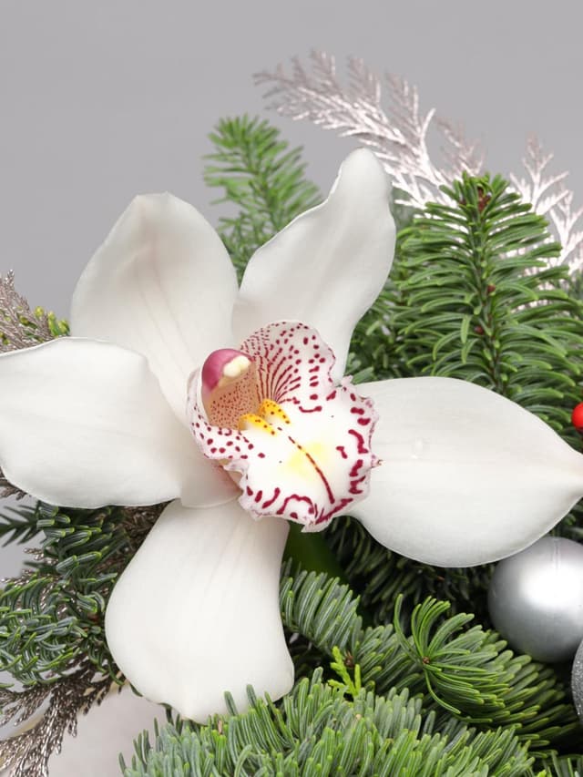 Новогодняя композиция из Нобилиса, Туи и Орхидеи в коробке «Серебряный Вальс» Новогодняя композиция из Нобилиса, Туи и Орхидеи в коробке «Серебряный Вальс»