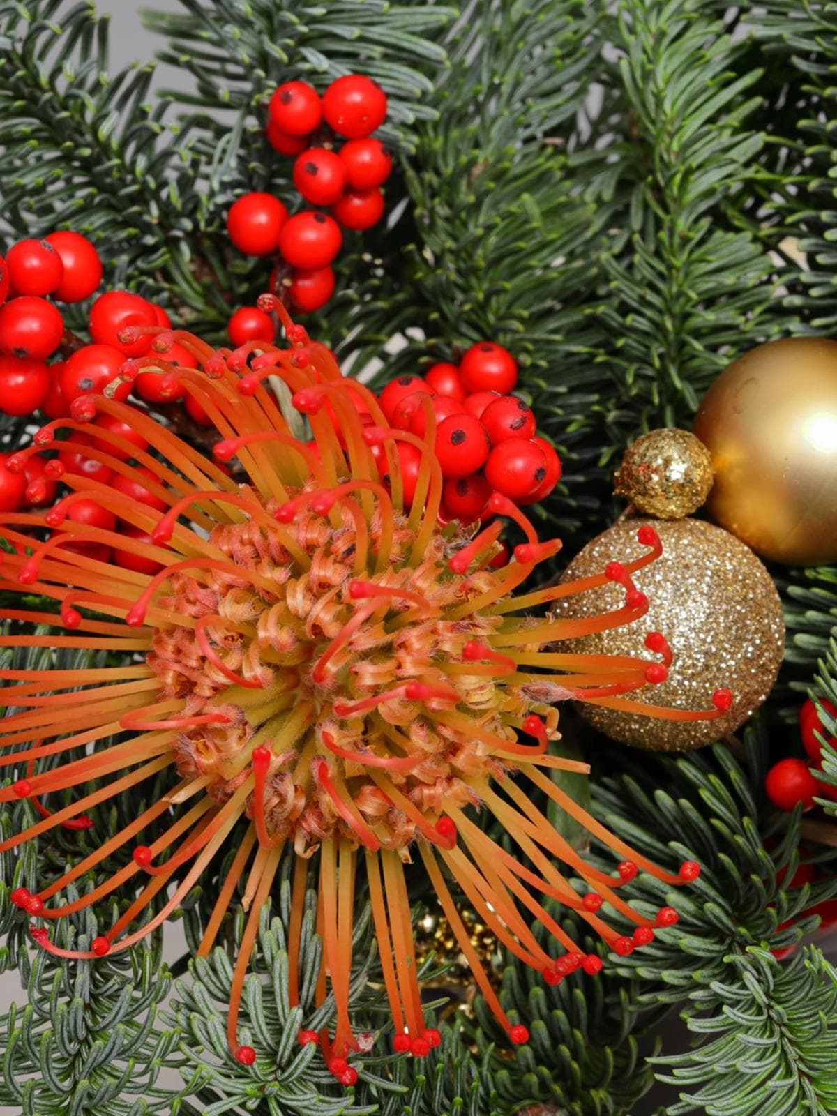 Композиция из Нобилиса, Туи и Леукаспермума в коробке «Путеводная Звезда»