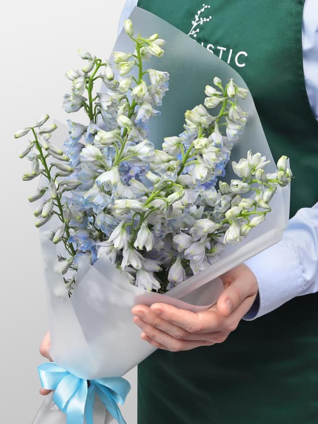 Букет из Дельфиниума 9 шт «Лазурная Нежность» Букет из Дельфиниума 9 шт «Лазурная Нежность»