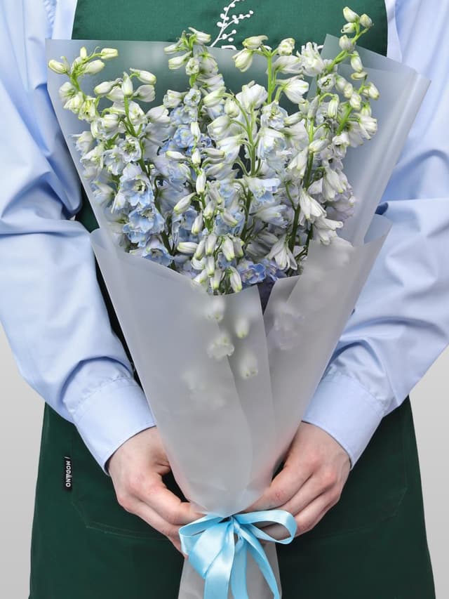 Букет из Дельфиниума 9 шт «Лазурная Нежность» Букет из Дельфиниума 9 шт «Лазурная Нежность»