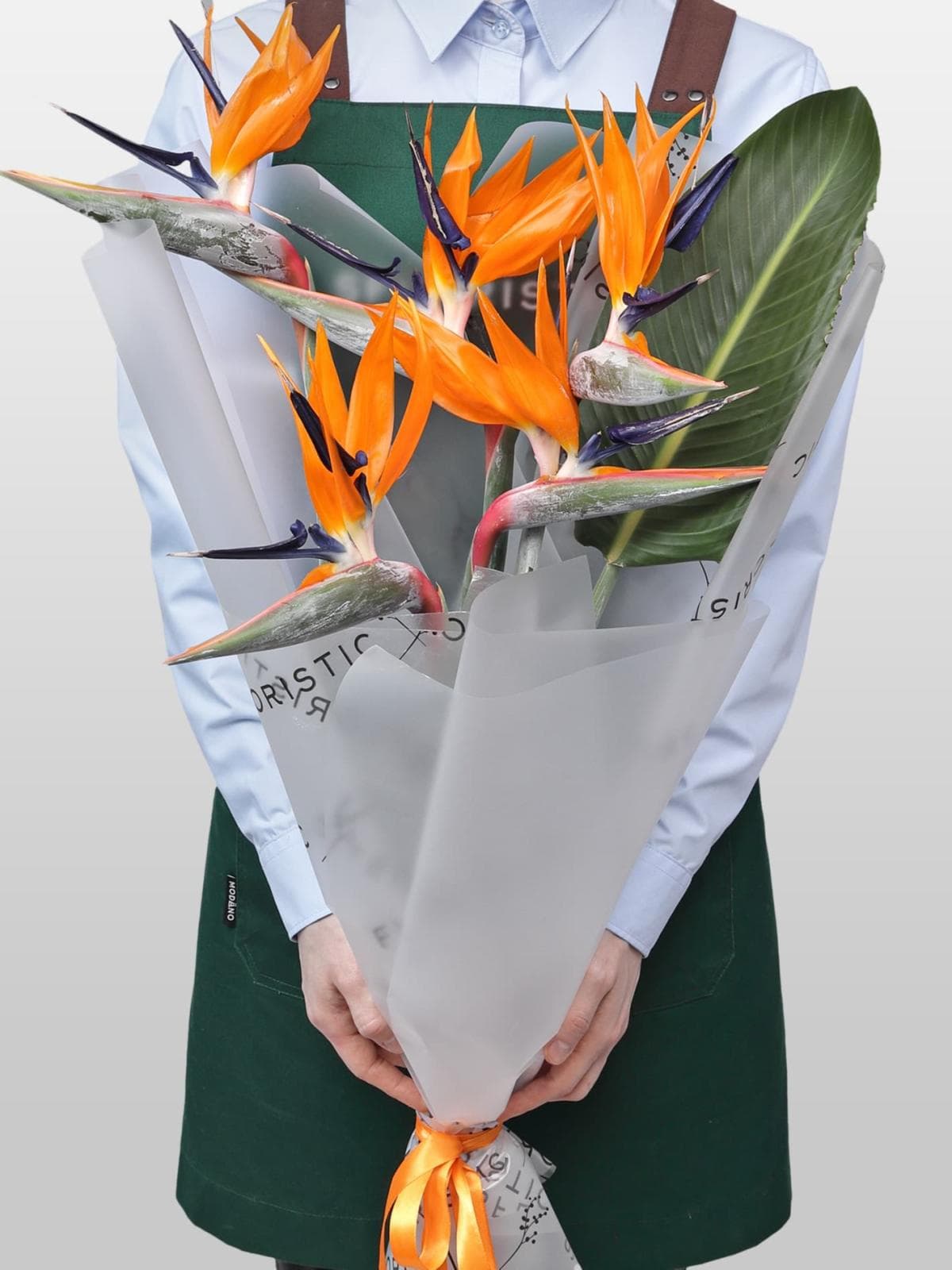 Букет из Стрелиции 5 шт «Перо Жар-Птицы»