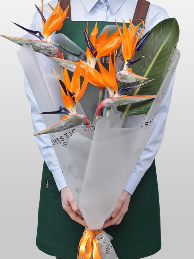 Букет из Стрелиции 5 шт «Перо Жар-Птицы» Букет из Стрелиции 5 шт «Перо Жар-Птицы»