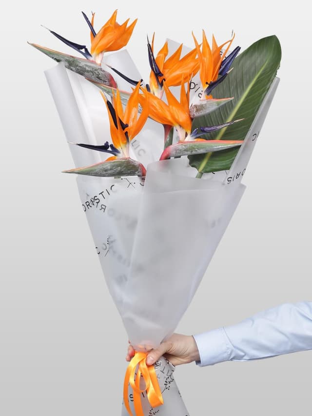 Букет из Стрелиции 5 шт «Перо Жар-Птицы» Букет из Стрелиции 5 шт «Перо Жар-Птицы»