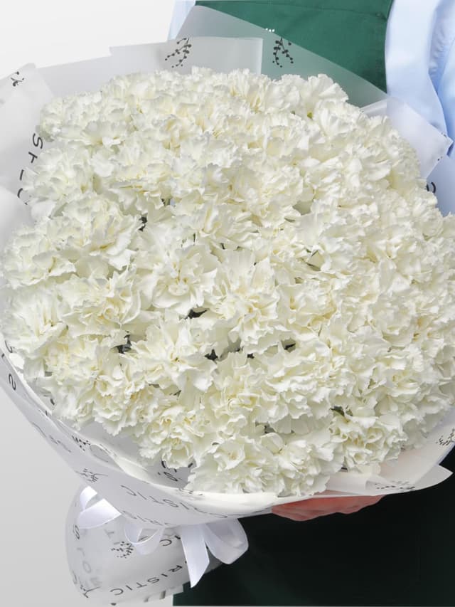 Букет из Белых Гвоздик 51 шт «Фарфоровая Мечта» Букет из Белых Гвоздик 51 шт «Фарфоровая Мечта»