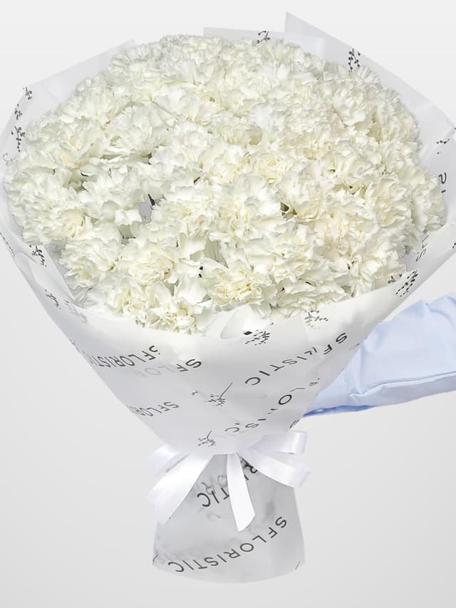 Букет из Белых Гвоздик 51 шт «Фарфоровая Мечта» Букет из Белых Гвоздик 51 шт «Фарфоровая Мечта»