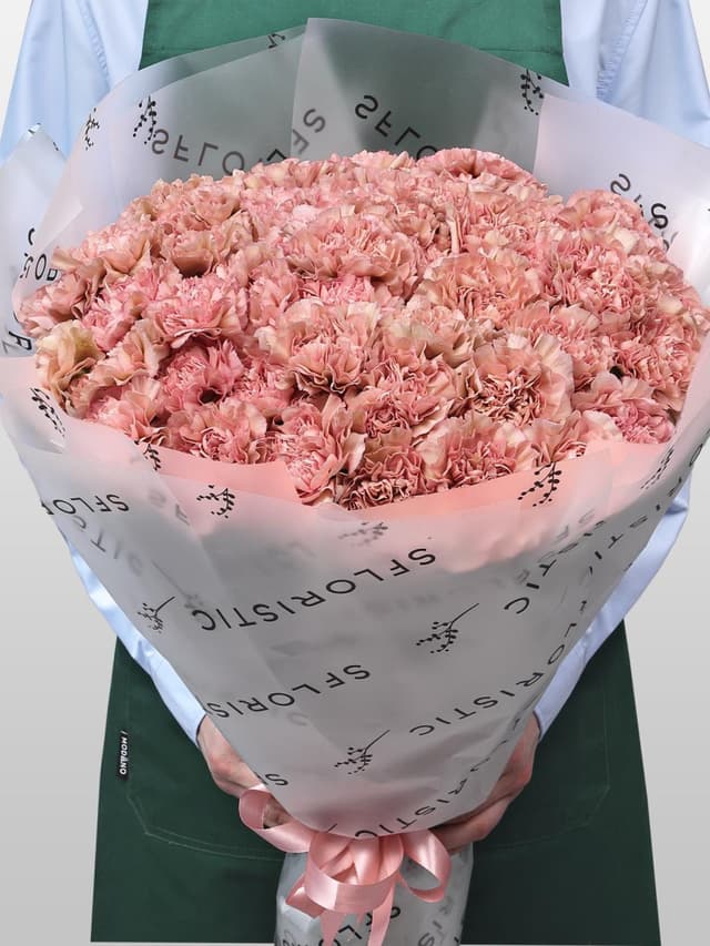 Букет из Пудрово-Розовых Гвоздик 51 шт «Мягкие Объятия» Букет из Пудрово-Розовых Гвоздик 51 шт «Мягкие Объятия»