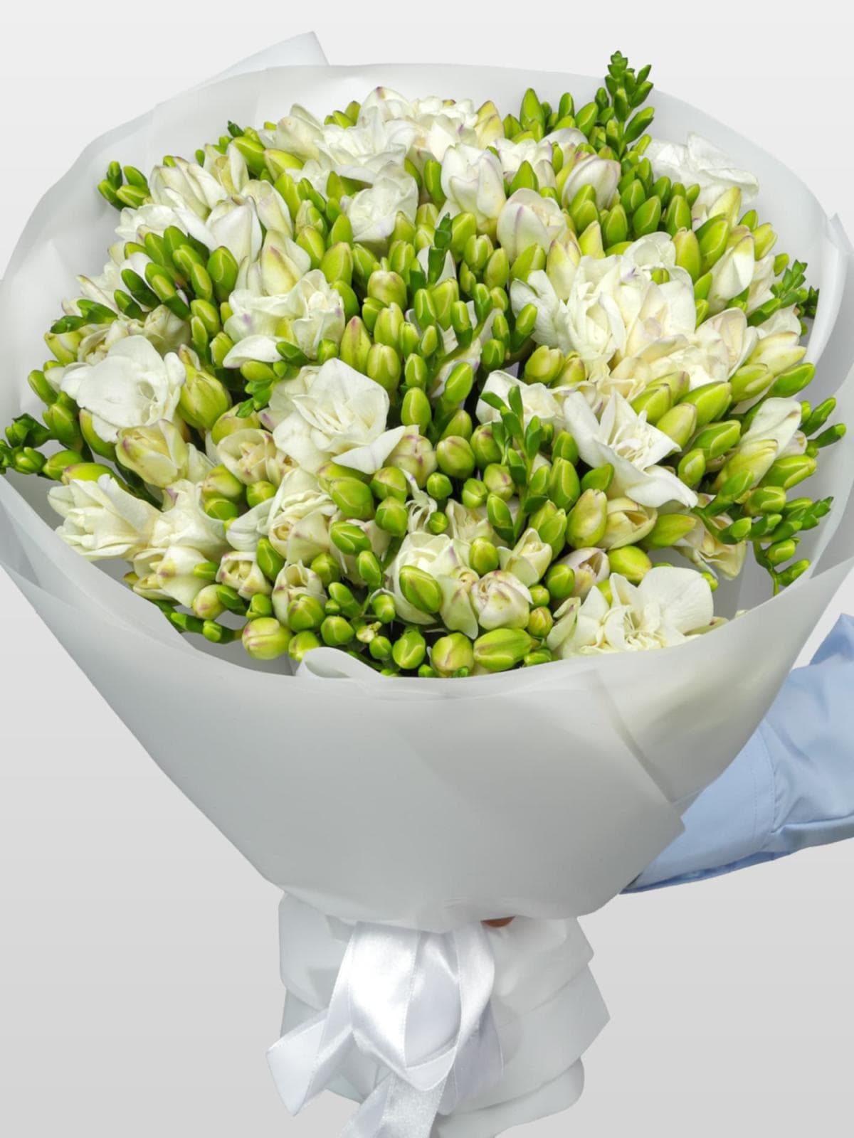 Букет из Белых Фрезий 51 шт «Ванильные сны»