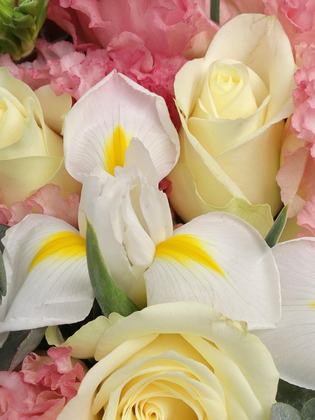 Букет из Ириса, Роз, Эустомы и Фрезии «Облачный атлас»