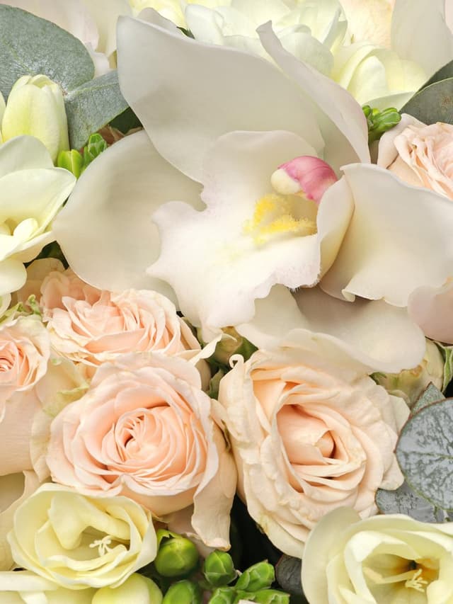 Букет из Орхидей, Фрезий и Кустовых Роз «Мечтательница» Букет из Орхидей, Фрезий и Кустовых Роз «Мечтательница»