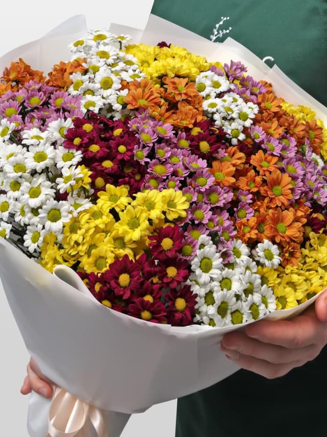 Букет из микса Хризантем Сантини 25 шт «Пестрый луг» Букет из микса Хризантем Сантини 25 шт «Пестрый луг»