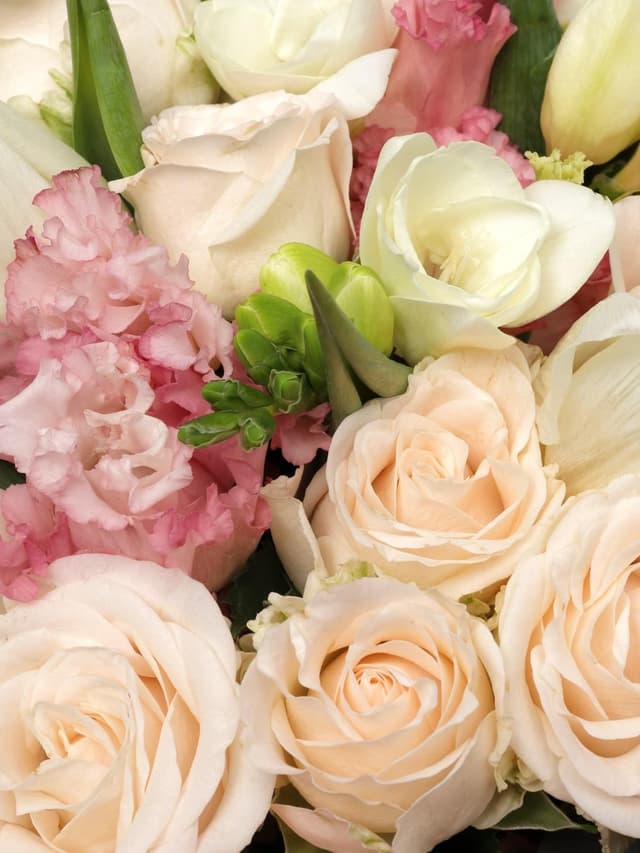 Букет из Фрезий, Тюльпанов и Кустовых Роз «Майский сон» Букет из Фрезий, Тюльпанов и Кустовых Роз «Майский сон»