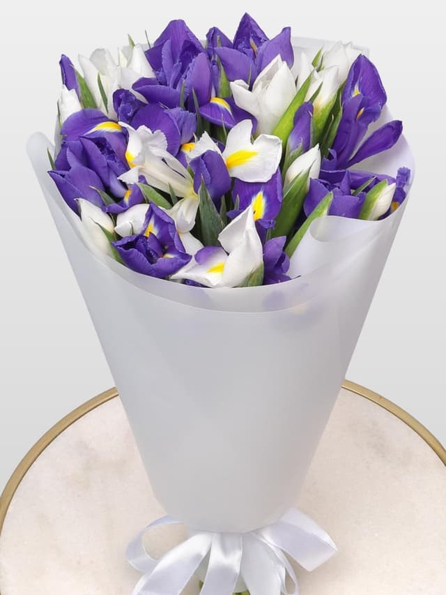 Букет из микса Ириса 31 шт «Счастливый случай» Букет из микса Ириса 31 шт «Счастливый случай»