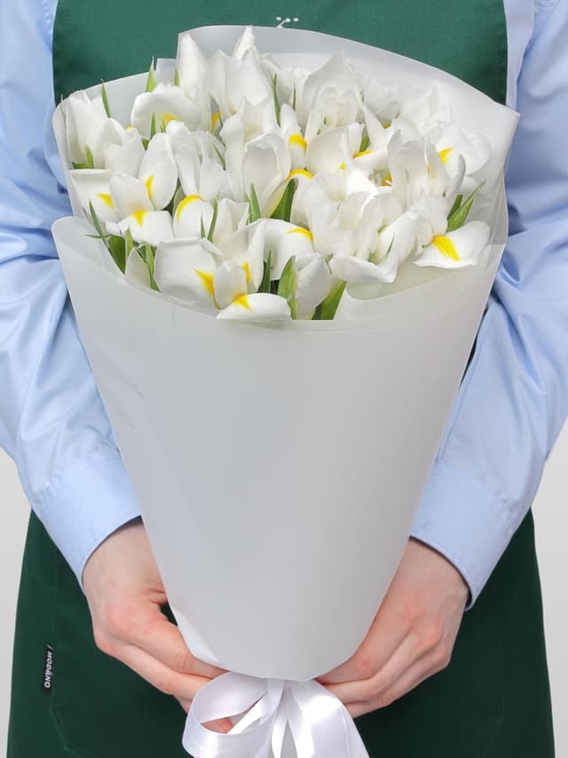 Букет из Белых Ирисов 25 шт «Белый лебедь» Букет из Белых Ирисов 25 шт «Белый лебедь»