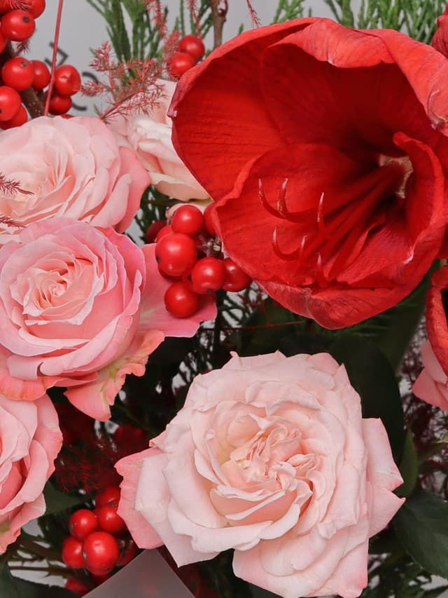 Букет из Амариллиса, Туи и Роз «Клюквенный пунш» Букет из Амариллиса, Туи и Роз «Клюквенный пунш»