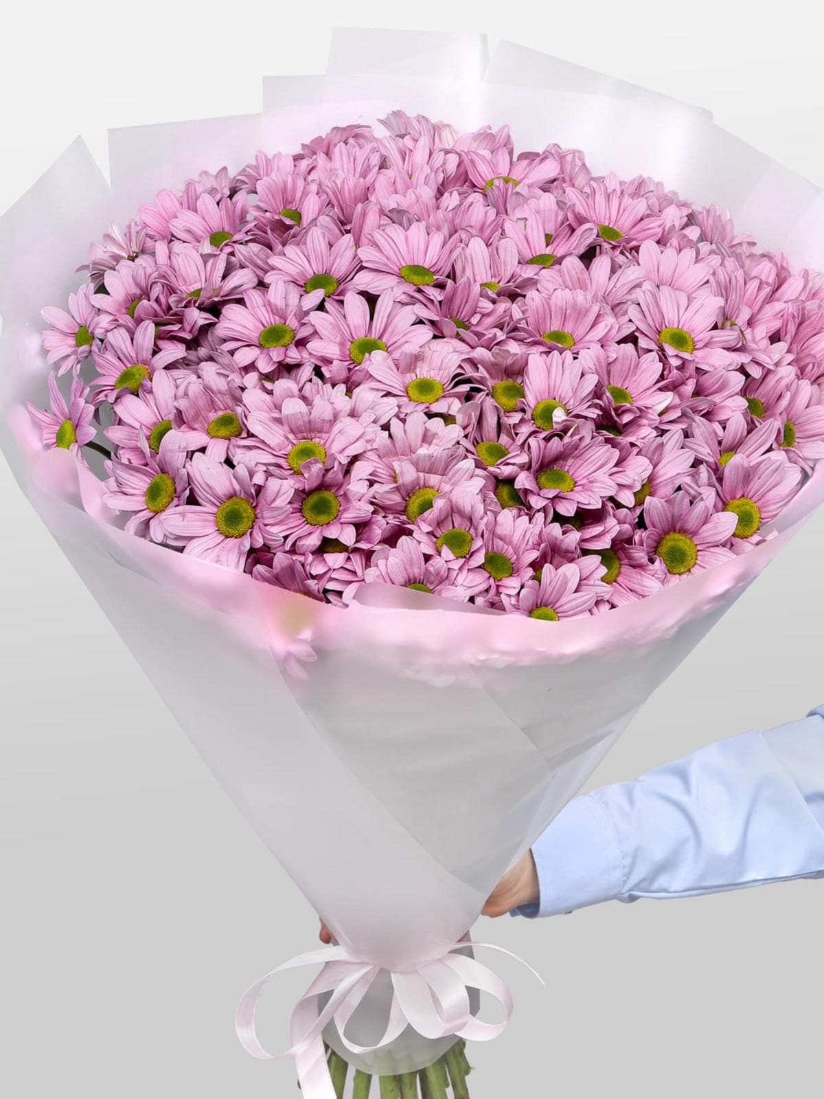 Букет из Розовых Кустовых Хризантем 25 шт «Балет»