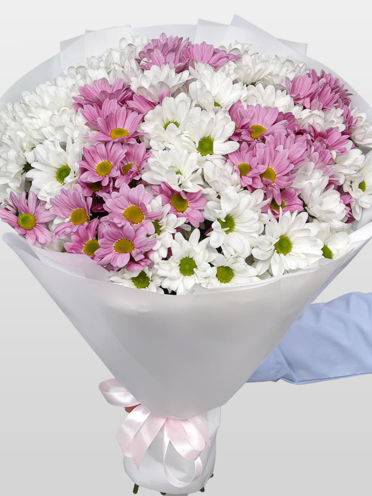 Букет из Розовых и Белых Кустовых Хризантем «Карусель»