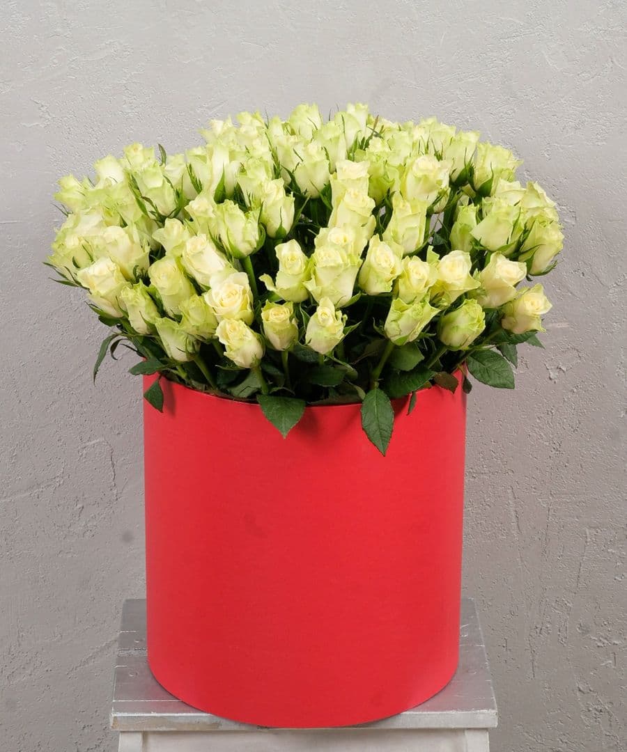 Белая роза Кения в коробке 101шт