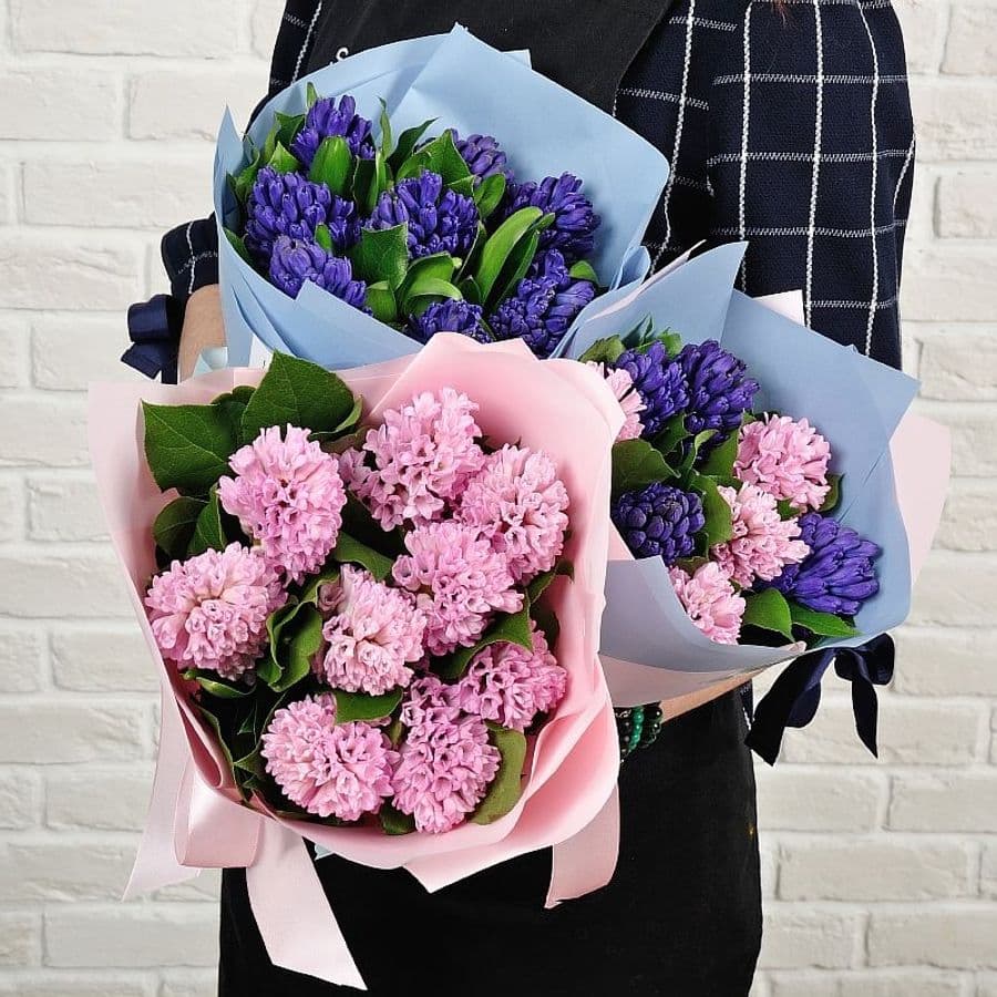 Букет из Синих Гиацинтов «Сапфировый Блюз»