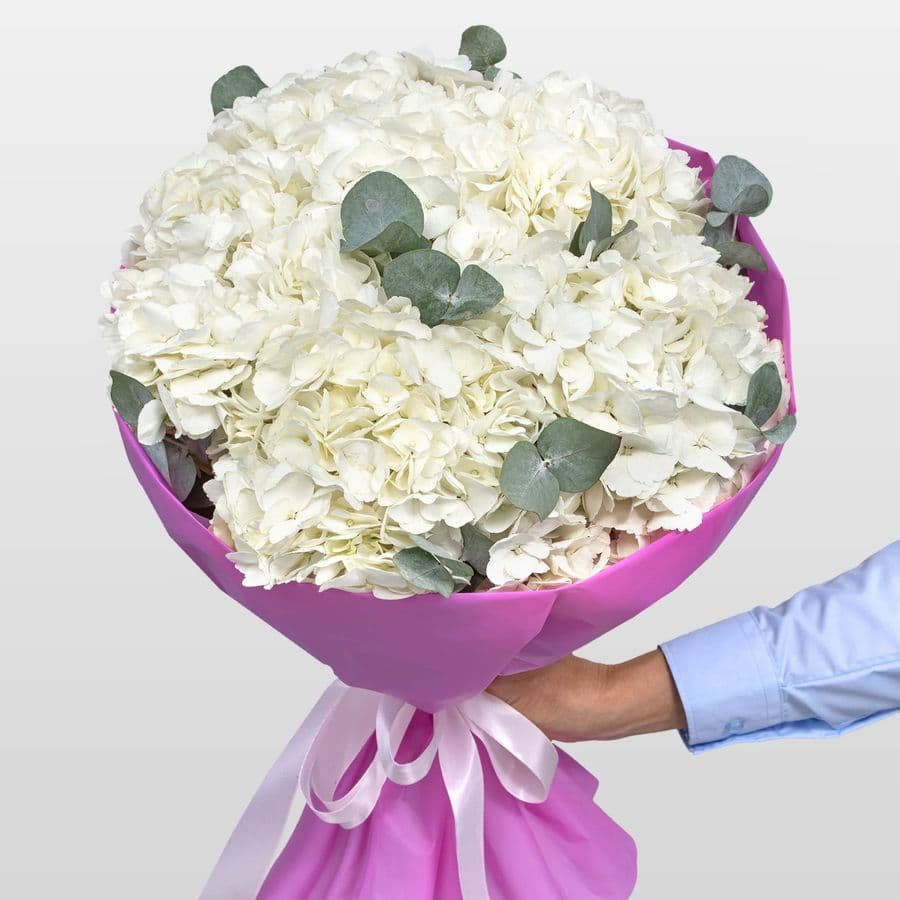 Букет из Гортензий «Мелодия цветов»