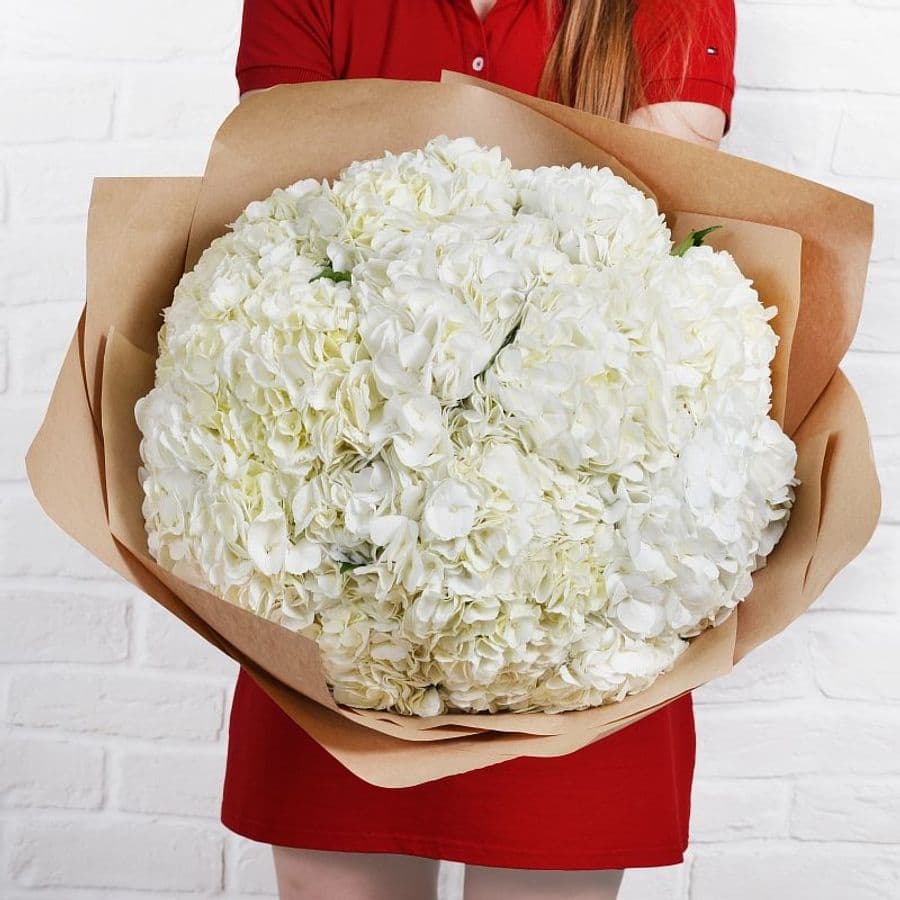 Букет из Гортензий «Взрывная страсть»