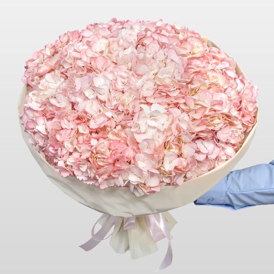 Букет из светло-розовой Гортензии «Фламинго»
